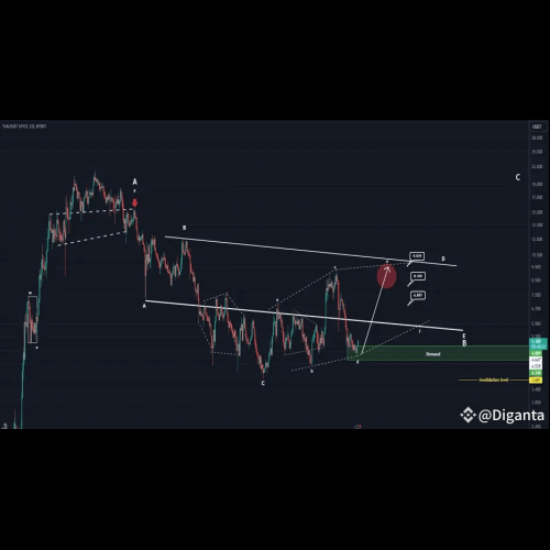 Analyse des graphiques TIA : repérage d'un modèle diamétrique potentiel et des cibles de la vague E