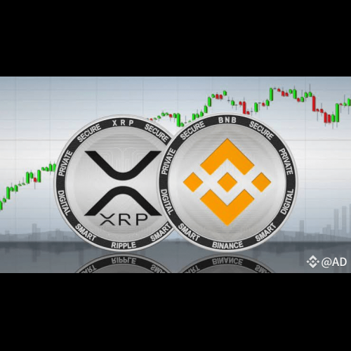 XRP能达到BNB的价格水平吗？