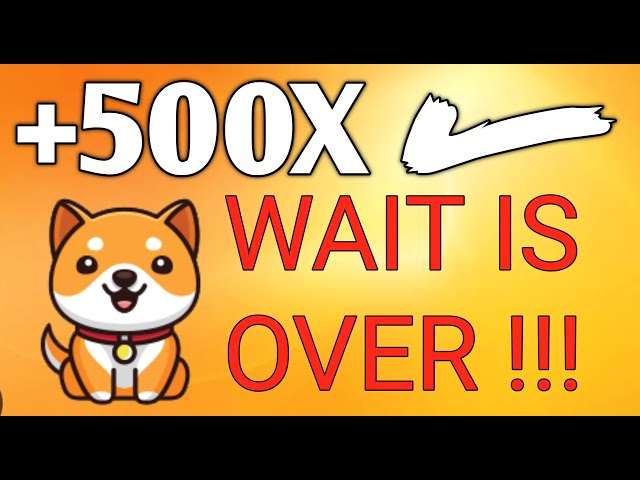 BABY DOGE COIN 💥 GROSSE LISTEN-COINBASE 🎉 AKTUELLE NACHRICHTEN HEUTE PREISVORHERSAGE 2025 🤑 ELON MUSK