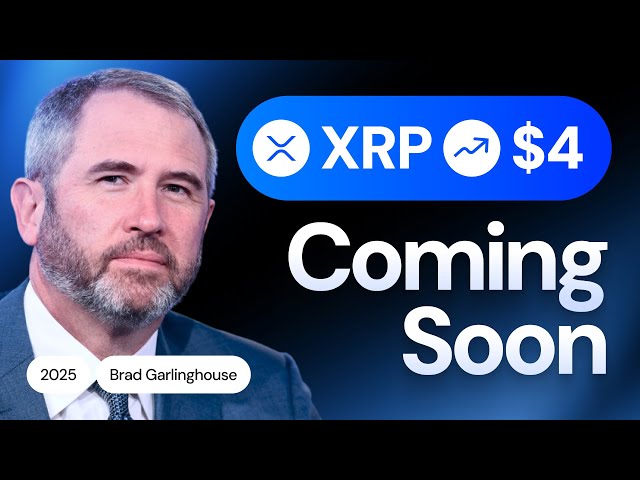 Brad Garlinghouse：2025 年 Ripple Bull Run 即将爆发！ XRP 价格预测与分析🚀