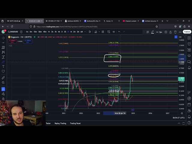 DOGE Doge Coin Dollar-Preisziel Ende des Monats