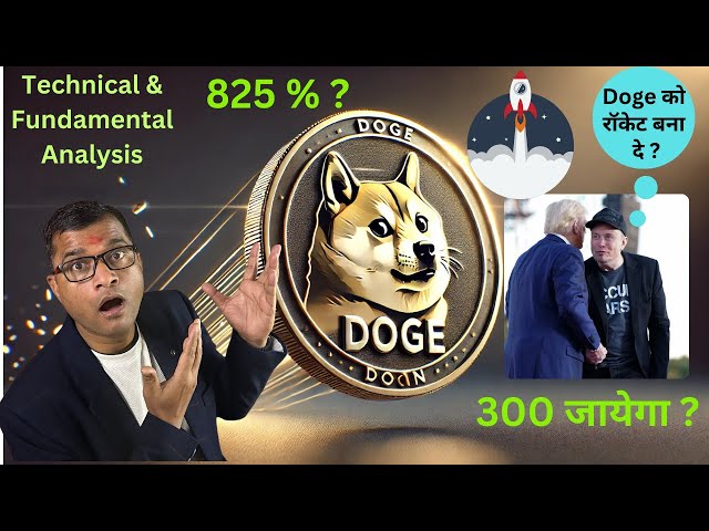 Dogecoin: Der unerwartete Spieler im Krypto-Spiel, Preisvorhersage 2025, Dogecoin Elon Musk-Preis