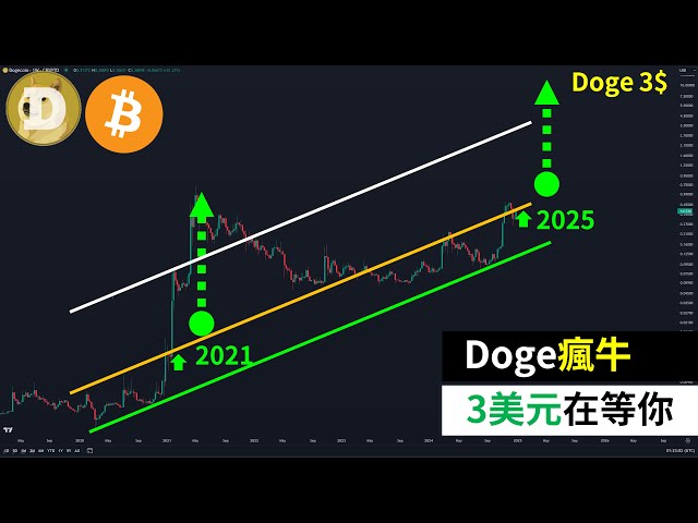 Dogecoin 3 USD vous attend ! DOGE Bitcoin Course de taureaux fou