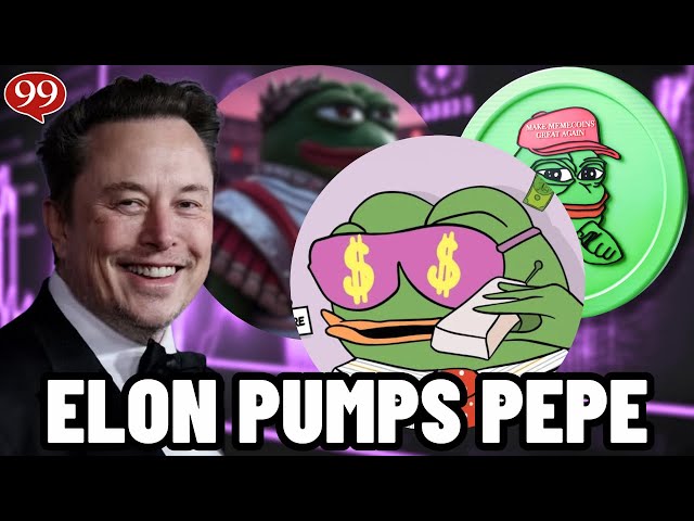 馬斯克 (Elon Musk) 還在抽 PEPE！這個 PEPE MEME 硬幣可以 50 倍！ $WEPE 硬幣！