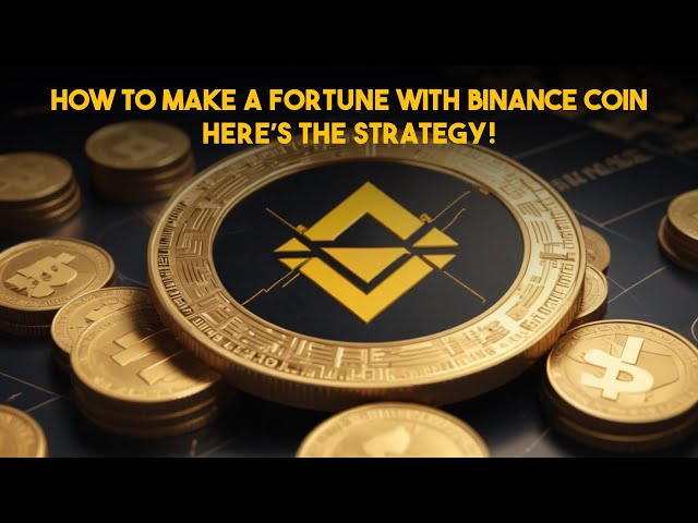 Binance Coinで大金を稼ぐ方法 – これが戦略です! |チェーンブレイン