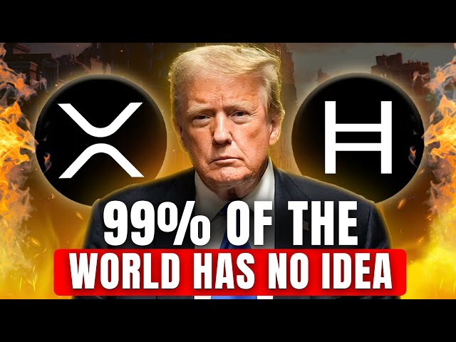 99 % der Welt haben keine Ahnung | XRP & HBAR SEHEN SIE SICH DAS AN!