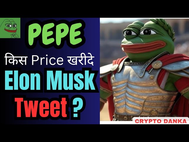 Pepe Coin Buying Entry Zone | Pepe Coin Price Prediction 2025 | Elon Musk Tweet on Pepe @CRYPTODANKA