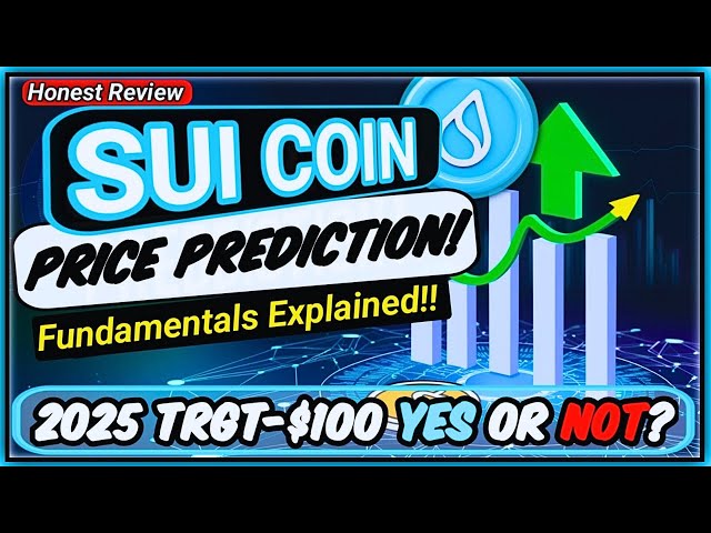 Sui Coin: The Next 1000x Crypto? (Don't Miss out!!)