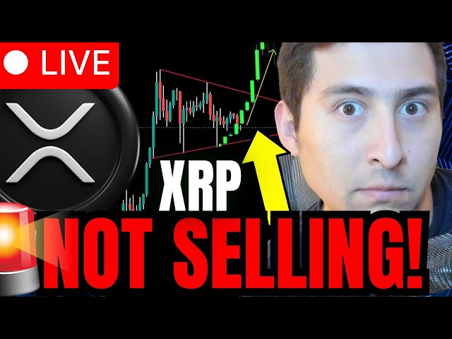 XRP 리플 펌핑이 지금 진행 중입니다!!🔴XRP를 판매하는 사람이 없나요?!