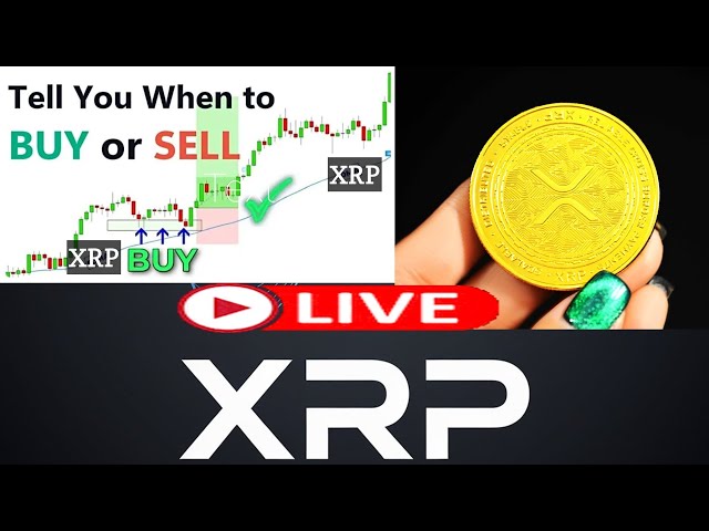 리플 | XRP 라이브 | 라이브 트레이딩 | 실시간 암호화폐 거래 | XRP 분석 | XRP 라이브 거래