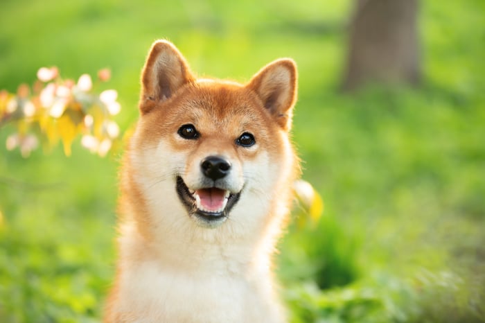 Shiba Inu (SHIB) peut-il atteindre 1 $ en 2025 ? La réponse pourrait vous épater