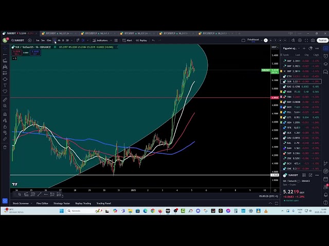 硬币查看器周日 250105、SUI 等等... BTC