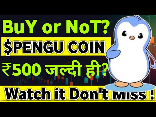 Pengu 코인 가격 예측 힌디어 | 펭구 코인 | 펭구코인 뉴스투데이 | 루피 레이더 | 힌디 어