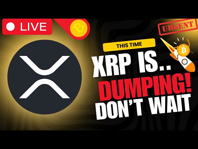 XRP 리플 라이브스트림 - XRP 리플 코인이 곧 충돌할 예정입니다! XRP 코인 최신 뉴스 및 BTC 충돌!