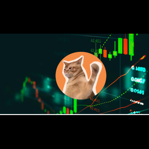 Catslap ($SLAP) explose de 59 % en une semaine, en lice pour devenir la prochaine pièce Mog (MOG)