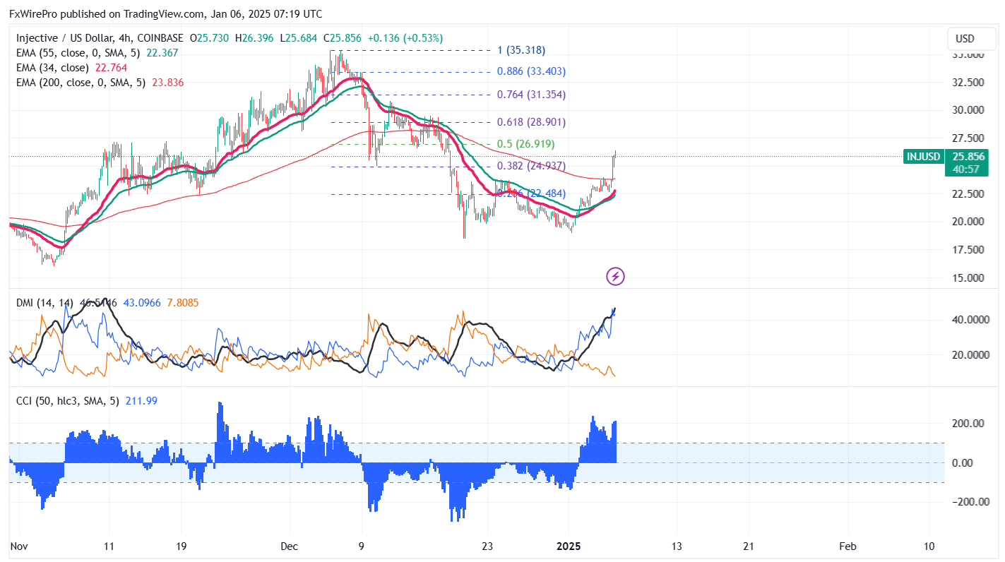 Injective (INJ) Technical Analysis: December 2024 Market Review and Trading Recommendations