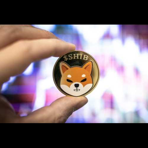 柴犬 (SHIB) 銷毀率飆升 2,133%，引發價格上漲 10%