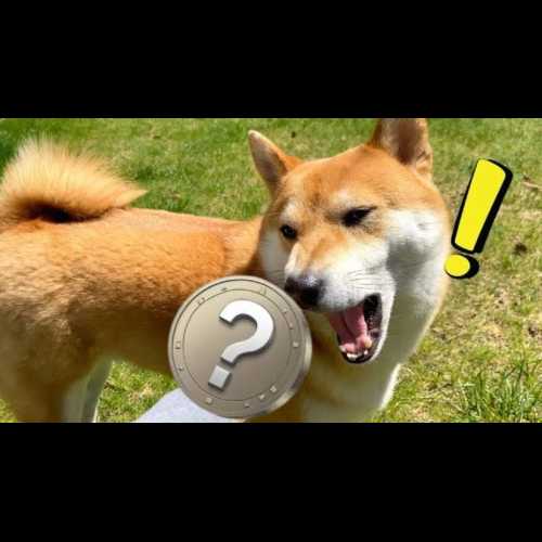 XYZVerse (XYZ) 成为下一个 Meme 代币冠军，有望超越 Shiba Inu (SHIB) 的崛起