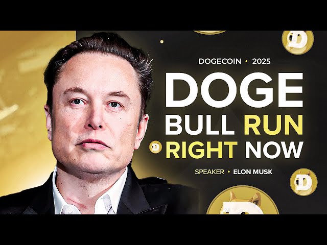 ライブ: テスラがドージコインを受け入れる?!イーロン・マスク氏、ドージ支払いの将来について語る！ DOGE価格予測