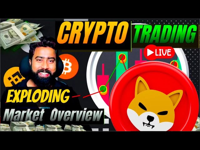 PENGU, LUNC, SHIBA INU, chasse aux MEME COIN en direct | 110 000 BTC