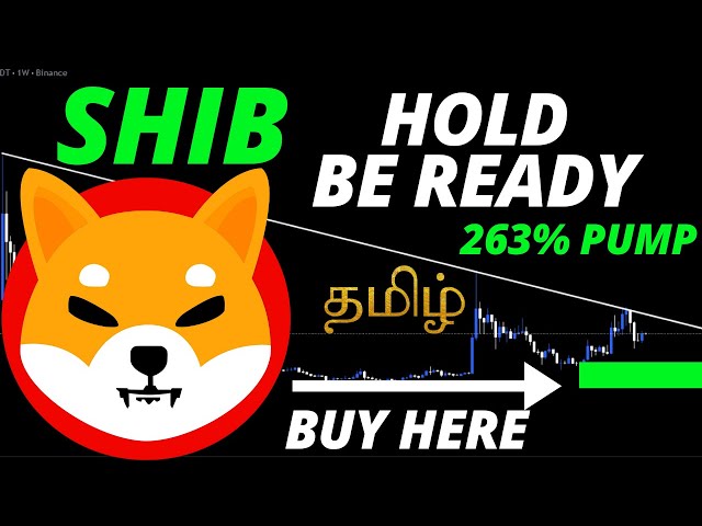 SHIBA INU (SHIB COIN) タミル語での価格予測.. 保有者は準備完了です..🚨