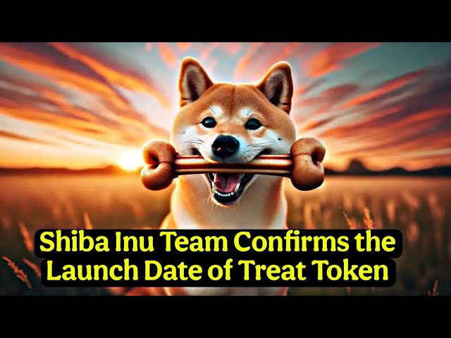 Shiba Inu Team Confirms the Launch Date of Treat Token #shibinu