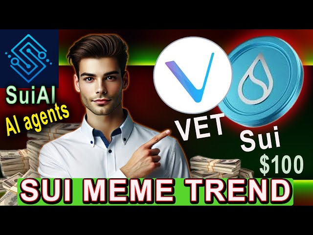 SUR LES MEMES TENDANCES ? Sur place À l'agent | Grand support de pièce $vet | sur les prix