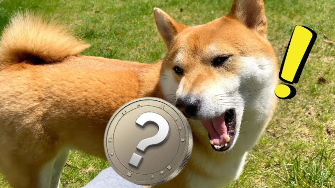 Es wird erwartet, dass drei Altcoins bis Mitte 2025 Shiba Inus legendäre Rallye 2021 in den Schatten stellen werden