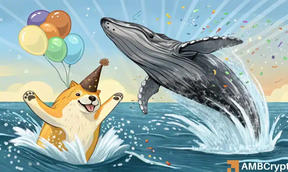 Dogecoin (DOGE) Whale Activity Signals Bullish Momentum, Token Could Target $1