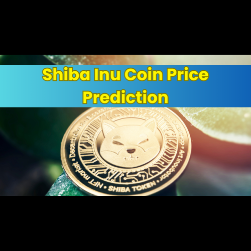 Shiba Inu 코인 가격 예측 2025-2030: SHIB가 2025년까지 $0.0001에 도달할까요?