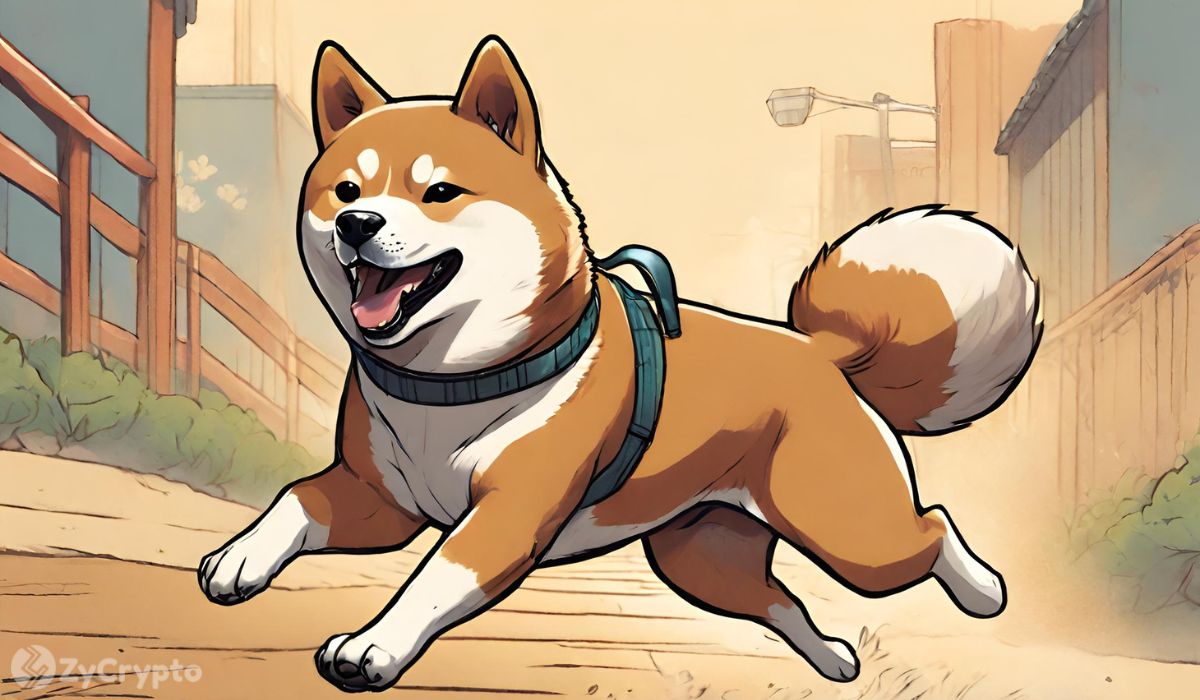 TREAT 토큰 출시 날짜가 발표되자 Shiba Inu(SHIB) 커뮤니티는 흥분으로 떠들썩합니다