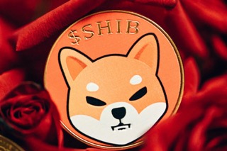 市場活躍，柴犬（SHIB）大額交易量攀升40%，SHIB能否維持這股動能？