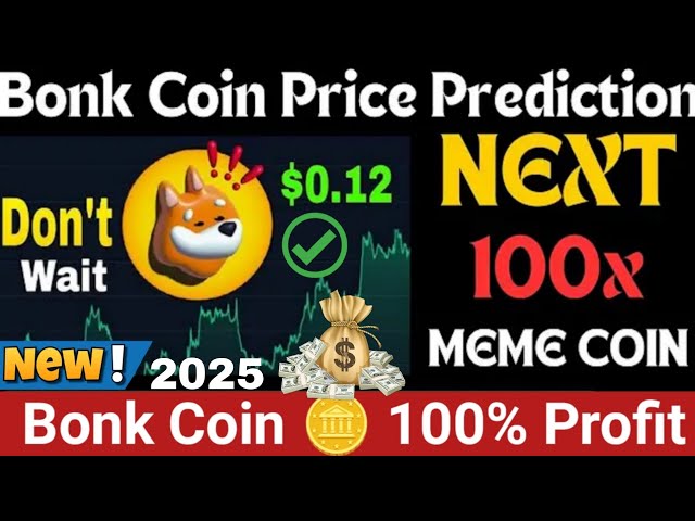 2025년 BONK 코인 가격 예측 🔥 | 앞으로 엄청난 이익이 날 것인가? 🚀 | SUI 코인 최신 업데이트