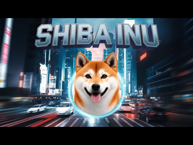 Tauchen Sie tief in die Welt der Shiba Inu-Token ein!