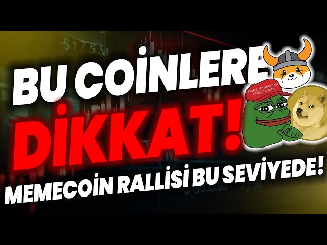 FLOKİ COIN PEPE COIN SHIBA DOGE가 집회에 참가했습니다!! 대상승을 조심하세요!? #도지코인 #시바