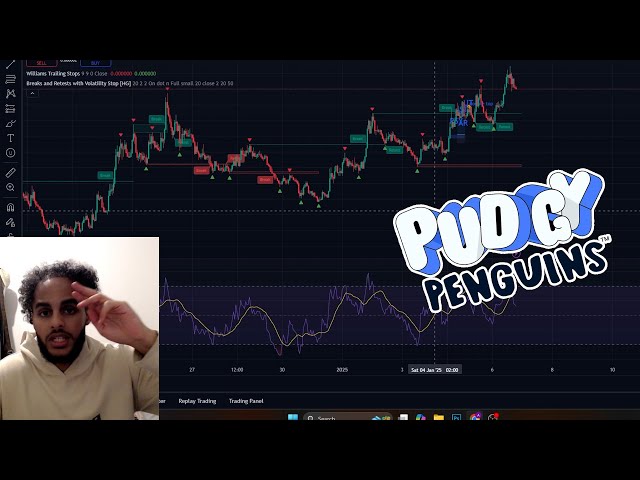 PUDGY PENGUINS COIN IS GOING TO THE MOON! - PENGU Price Prediction & News