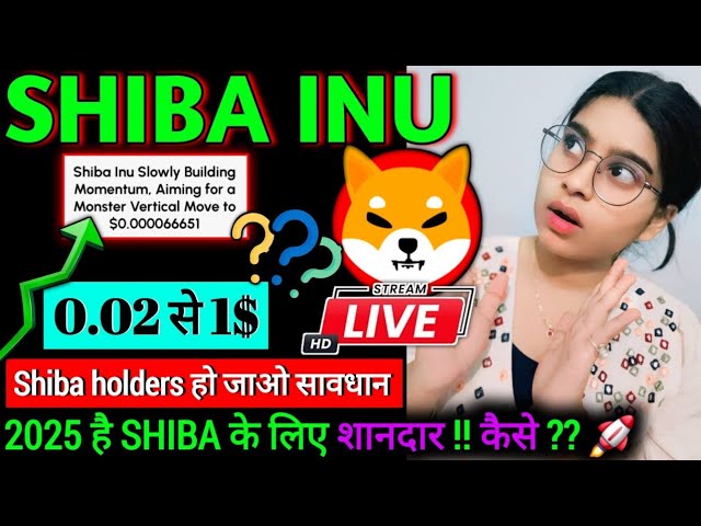 Shiba inu sera à 0,02$-1$🚀 ?? Nouvelles des pièces Shiba Inu aujourd'hui | Consultez les mises à jour🚨 | Actualités crypto aujourd'hui