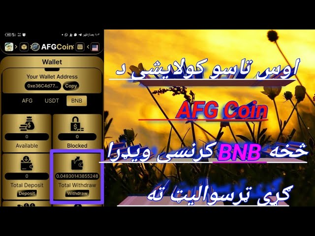 Comment transférer la devise BNB de la plateforme AFG Coin vers Vedra Garo Treswallet ?