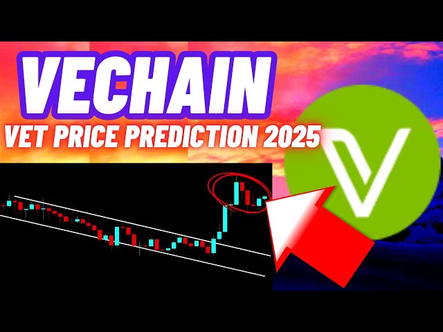 Vechain VET 가격 암호화폐 가격 예측 2025