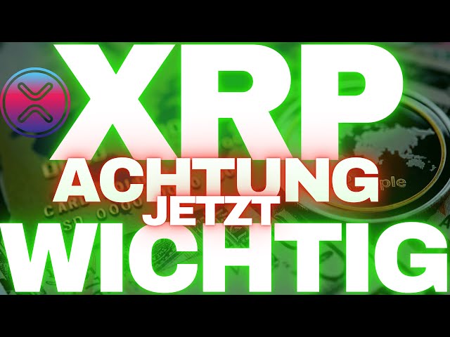 XRP Ripple das ist jetzt wichtig, das wird deine Chance I MEMEX Token starkes Projekt !