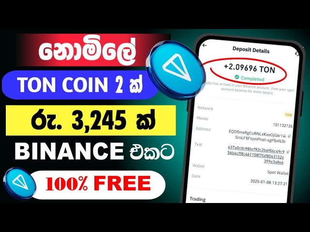 How to Earn Money Online Sinhala 2025 | Free Ton Coin Earning Site | Online Job | Emoney @woowmoney