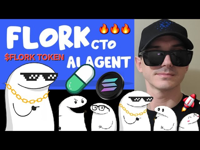 $FLORK - FLORK AI 代理 CTO 代幣 加密貨幣 如何購買 SOLANA MEMECOIN SOL RAYDIUM MEME 區塊鏈