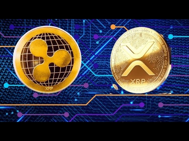 FOX Business: XRP ist der Token, den man jetzt im Auge behalten sollte!