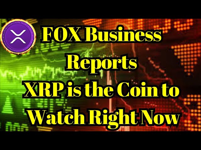 밈 동전 | FOX Business Reports XRP는 지금 주목해야 할 코인입니다