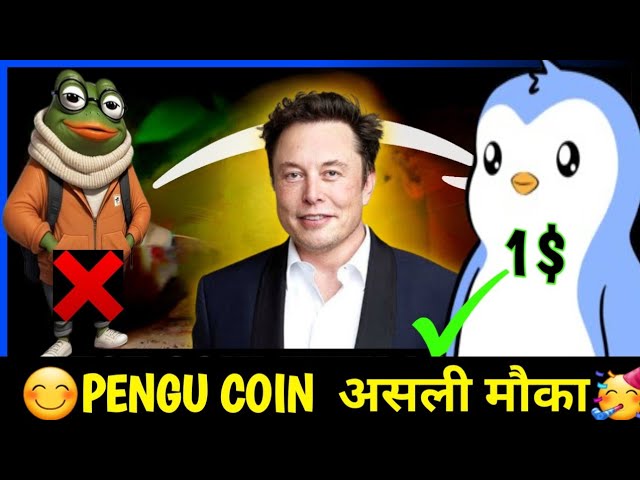 pengu की असली कहानि / 今日企鵝幣新聞 / 企鵝幣好消息 / 企鵝幣