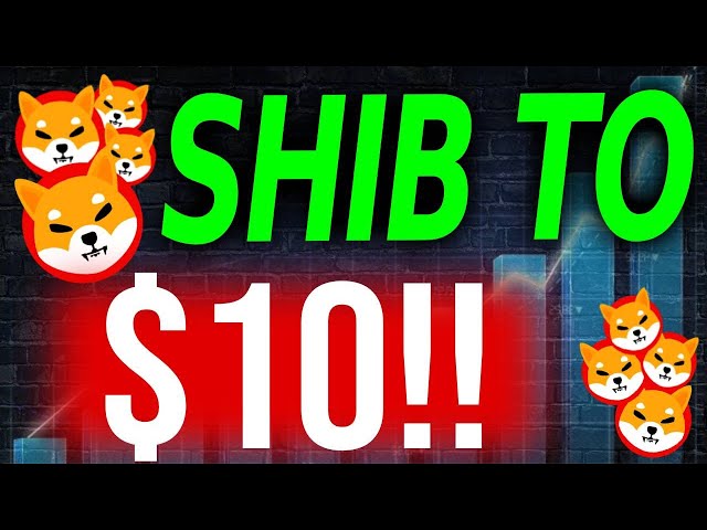 CEO von SHIBA INU SCHICKT SHIB BALD ÜBER NACHT AUF 10 $!! - SHIBA INU COIN NEWS