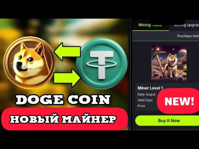 DOGE / DOGECOIN MINER / 최고의 온라인 채굴 / NEW MINER 2025를 얻을 수 있는 새로운 사이트