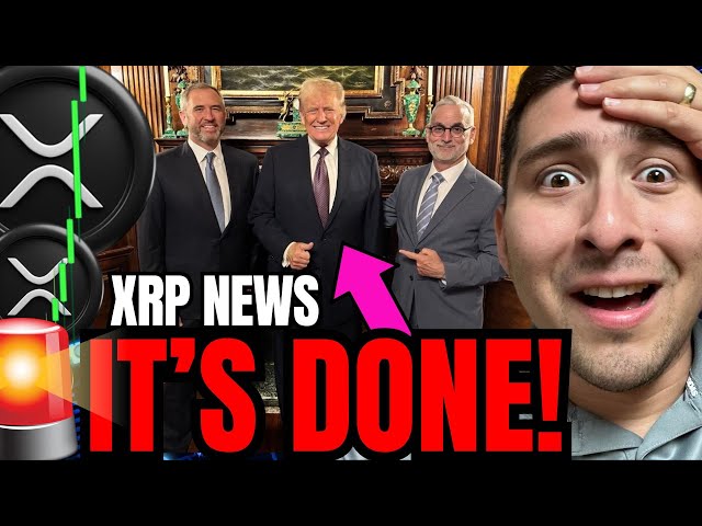 XRP 대규모 황소 실행이 이제 확인되었습니다!!! (지금 하세요)