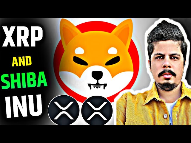 Xrp Ripple 및 Shiba Inu 업데이트