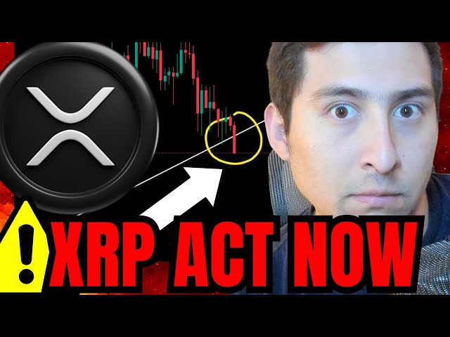 XRPリップルがジャストイン！ XRP価格アラート（大規模清算中）